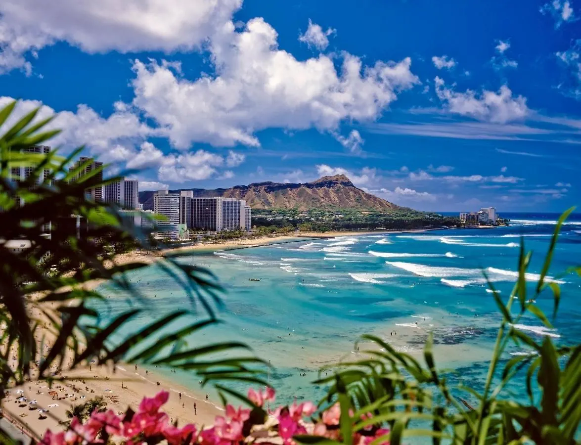 Pacific Monarch - 1 Bedroom - Ocean And City Views! Honolulu United States